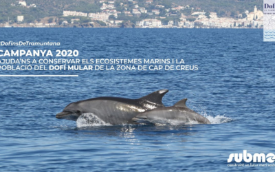 Delfines de Tramuntana 2020