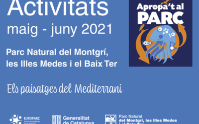 Actividades Mayo – Junio 2021