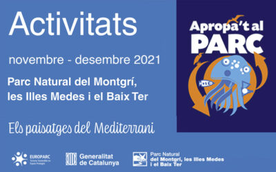 Actividades noviembre – diciembre 2021 PNMMBT