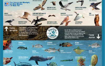 Guía de especies del Parque Natural del Montgrí, Illes Medes y Baix Ter