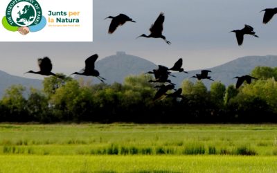 Setmana del Parc Natural del Montgrí, Illes Medes i Baix Ter